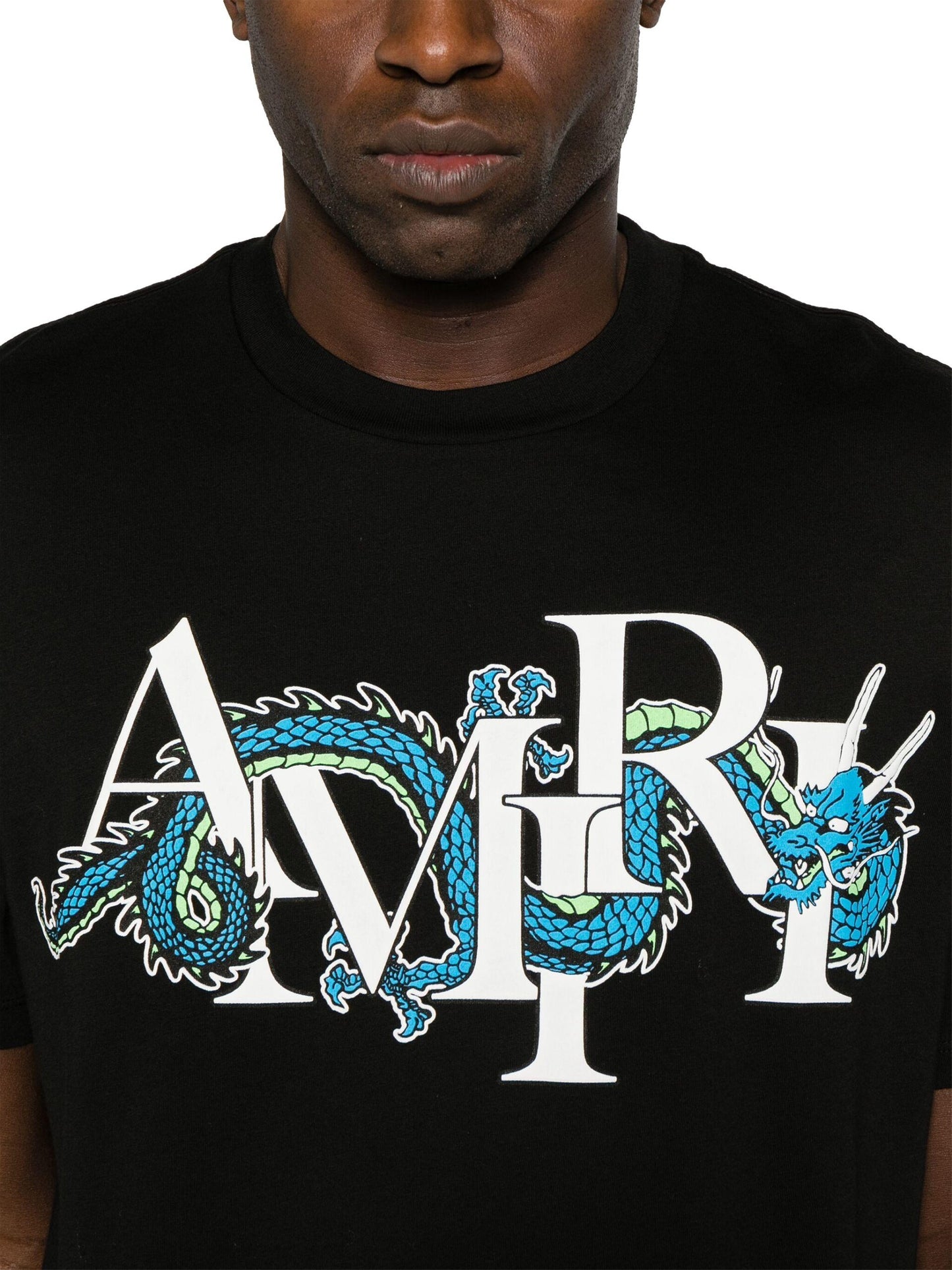 AMIRI Dragon T-shirt